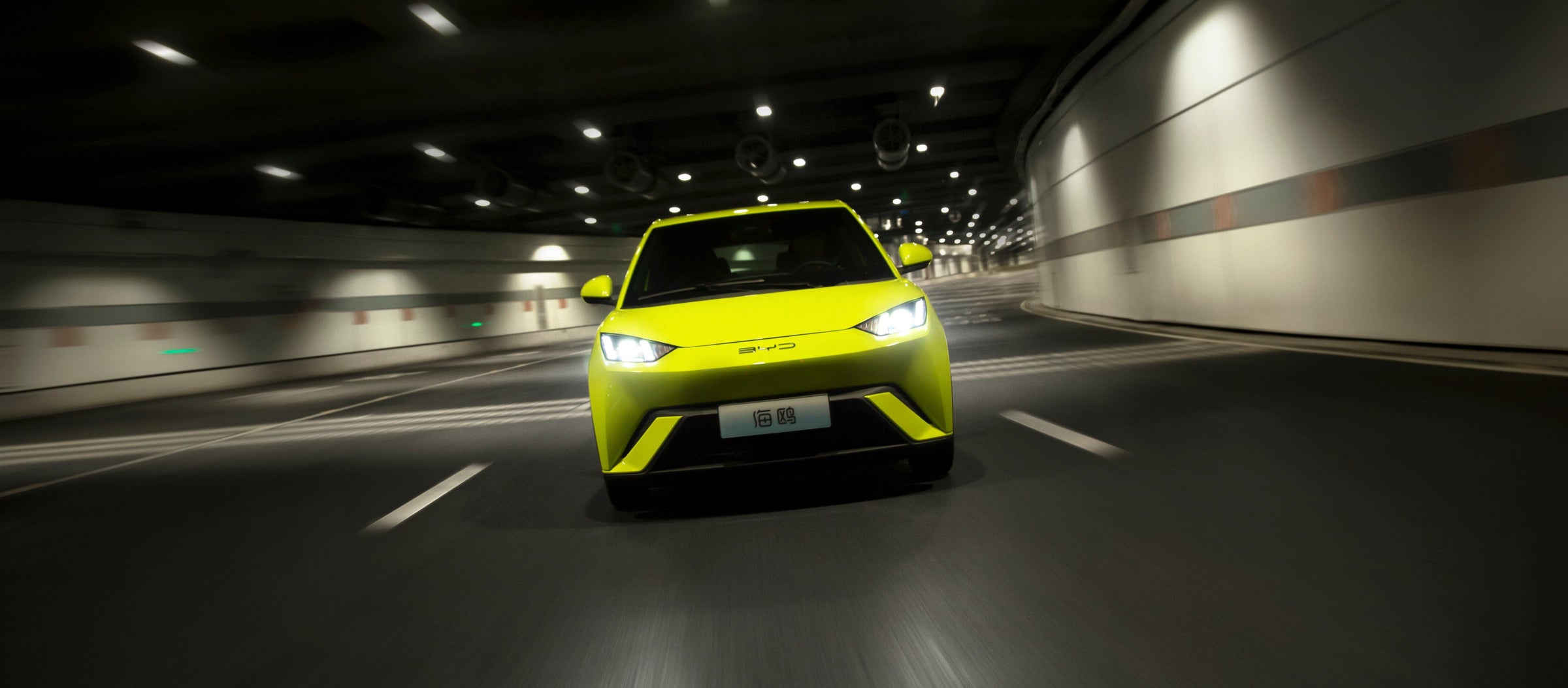 BYD DOLPHIN SURF/MINI