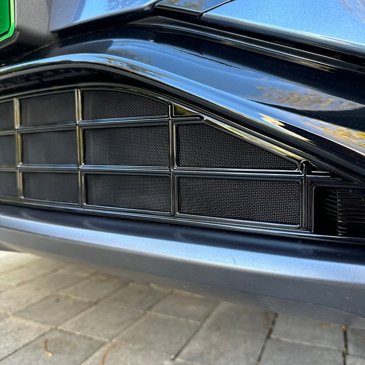 BYD Sealion 7 Grille Proof Net