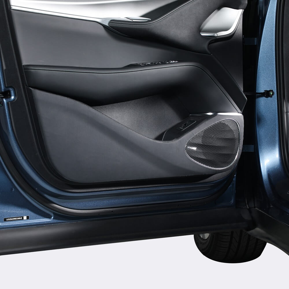 Panel de protección anti patadas para puerta del coche BYD Sealion 7 (4 piezas)