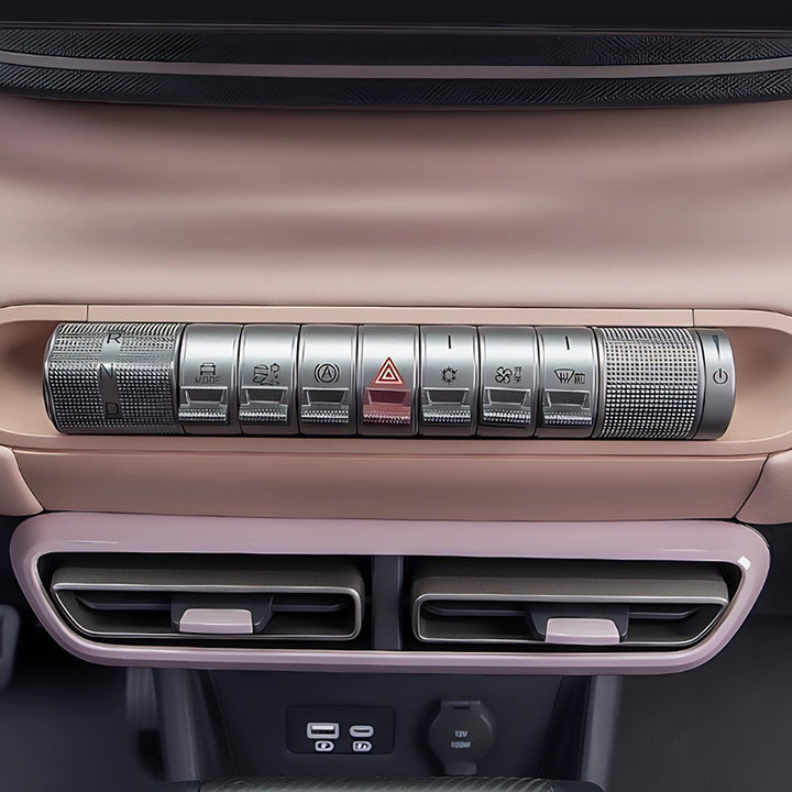 Palettes de commande centrales pour BYD