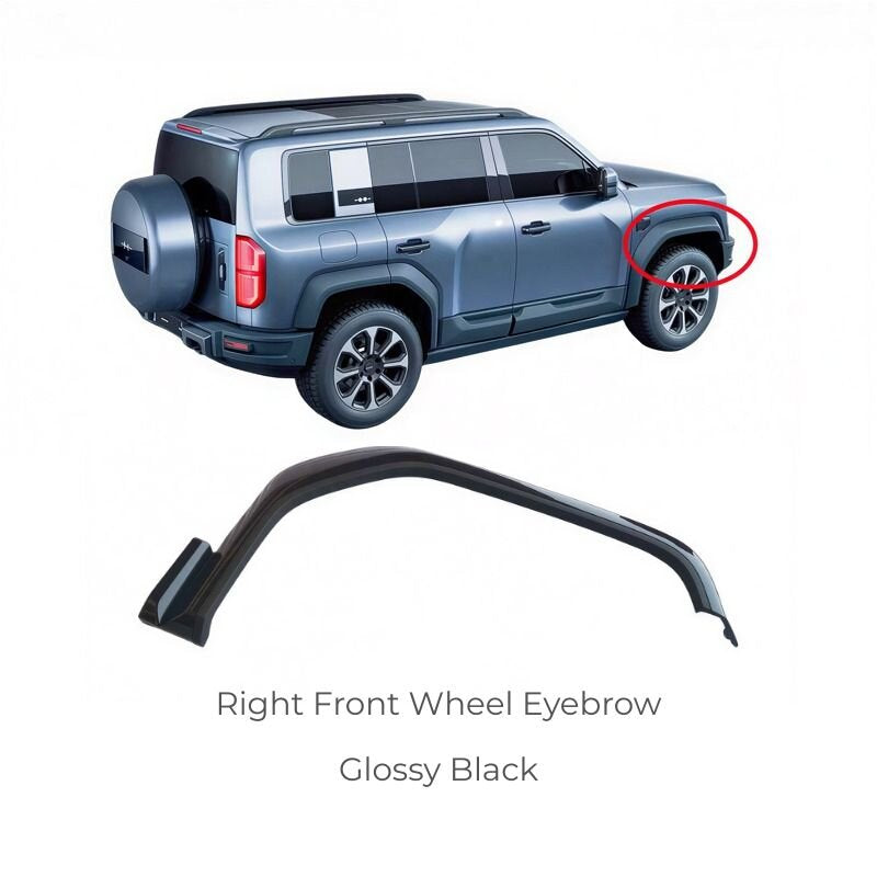 Denza B5 Wheel Eyebrow