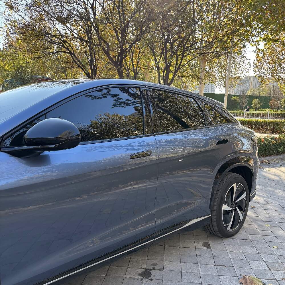 Tapa del Tirador de La Puerta para BYD Sealion 7