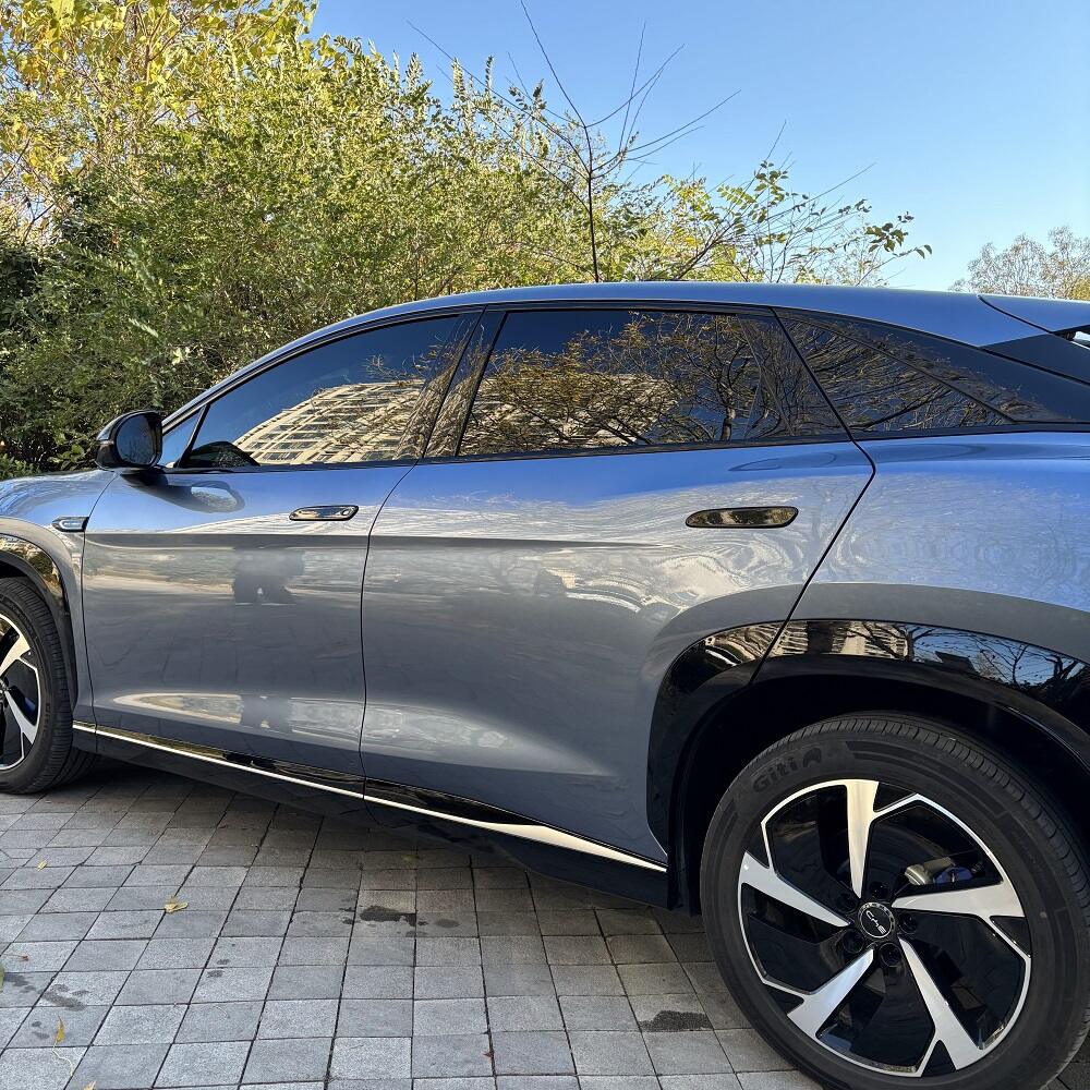 Tapa del Tirador de La Puerta para BYD Sealion 7