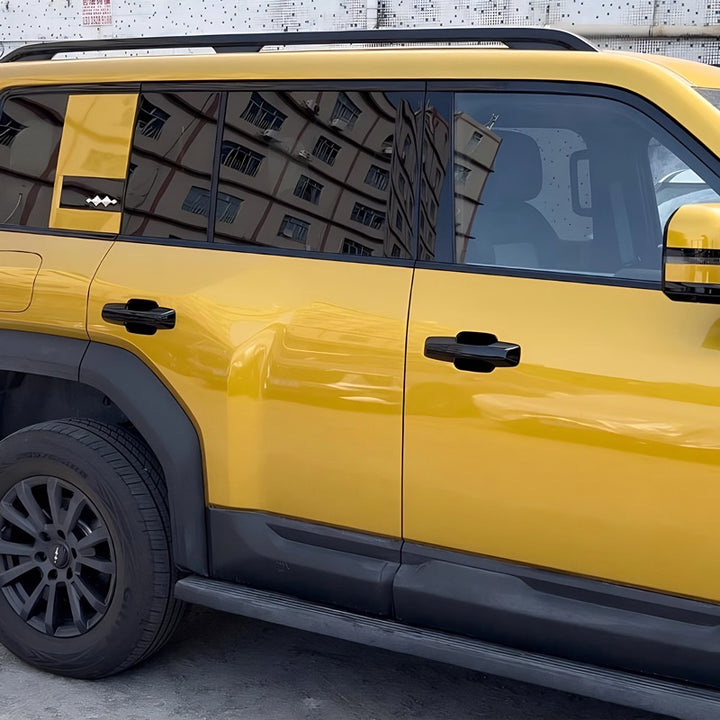 Tapa de puerta para Denza B5 