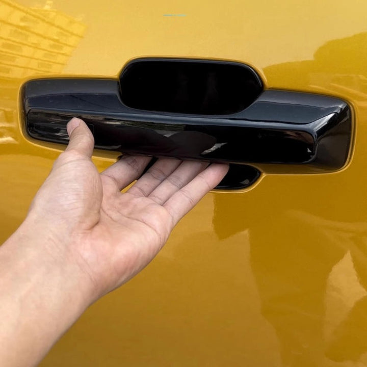 Tapa de puerta para Denza B5 