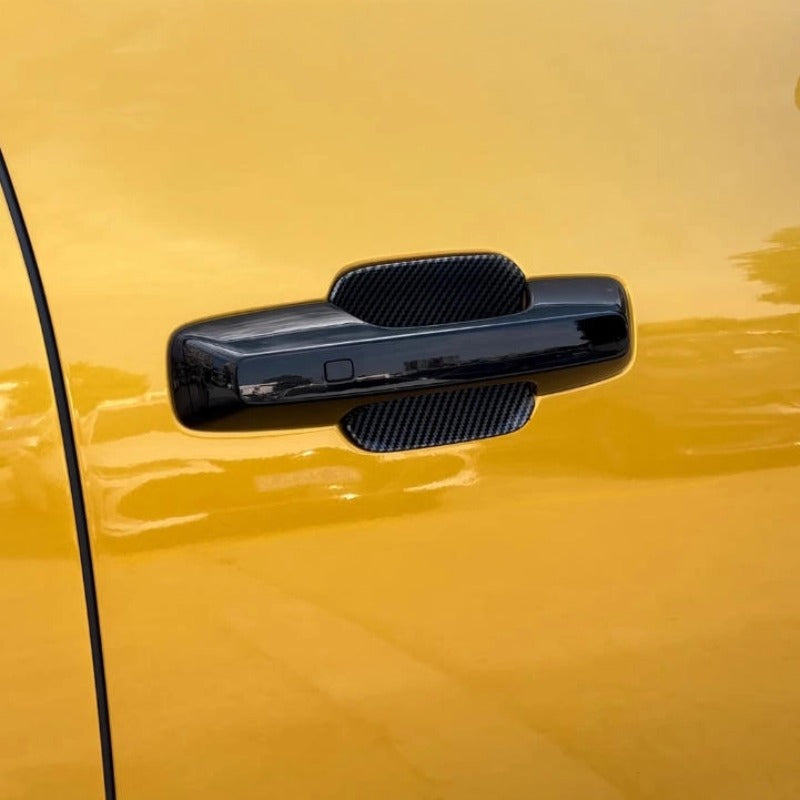 Tapa de puerta para Denza B5 