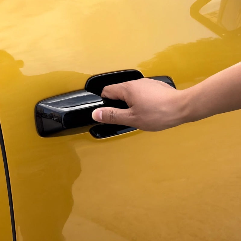 Tapa de puerta para Denza B5 