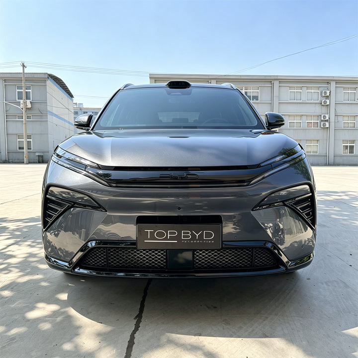 Front Fog Light Insect Screen for BYD Sealion 8/Atto 8 (2 Pcs)