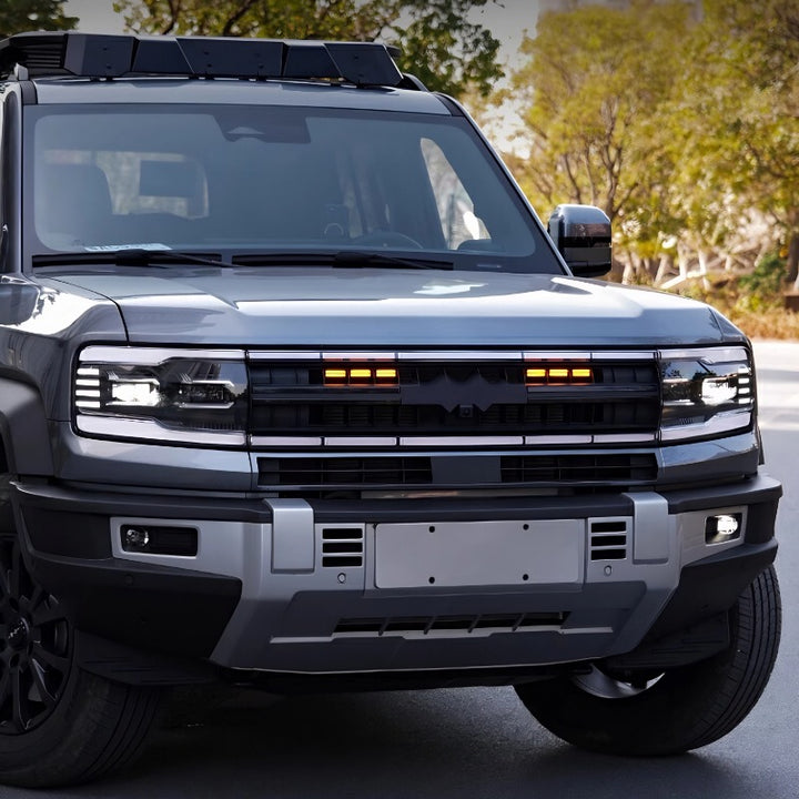 Grille Light for Denza B5