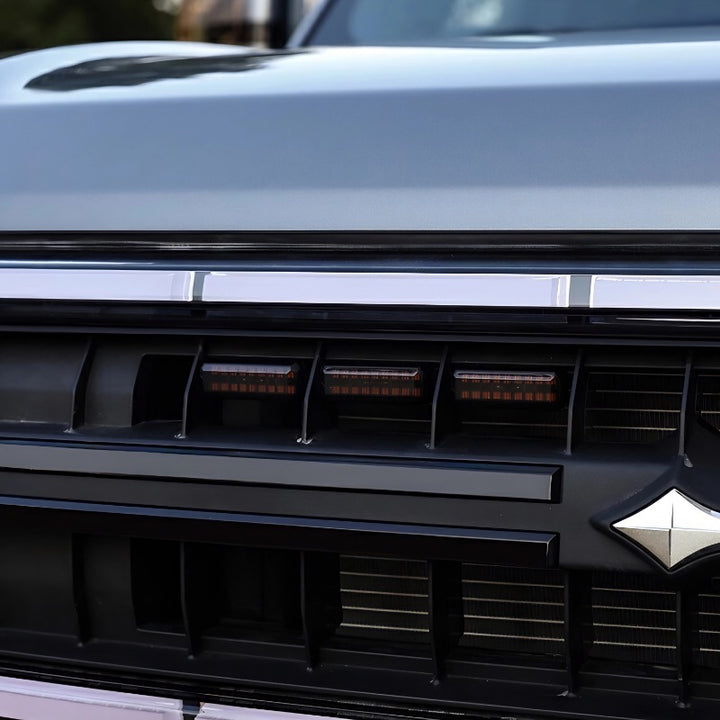 Grille Light for Denza B5