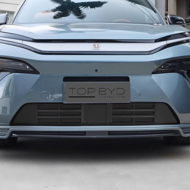 Filet anti-grille pour BYD Atto 8/Sealion 8