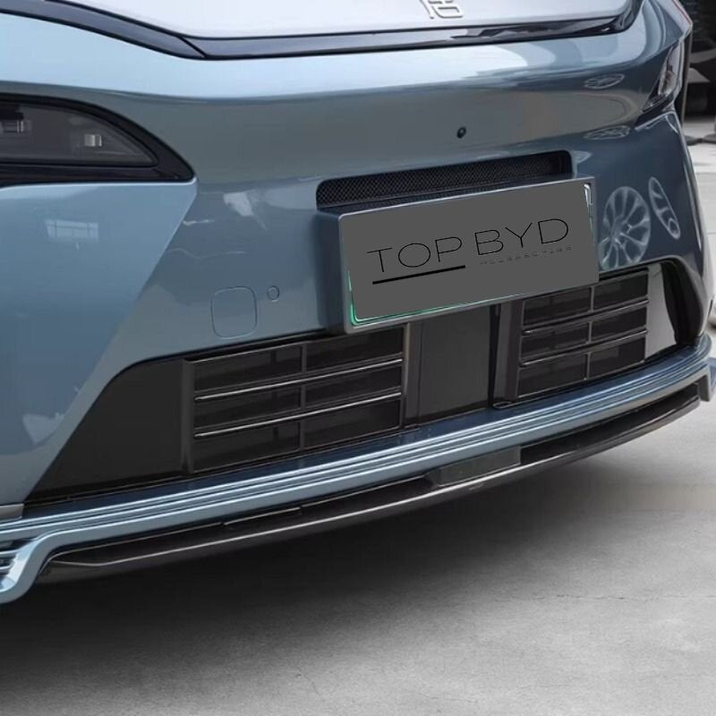 Filet anti-grille pour BYD Atto 8/Sealion 8