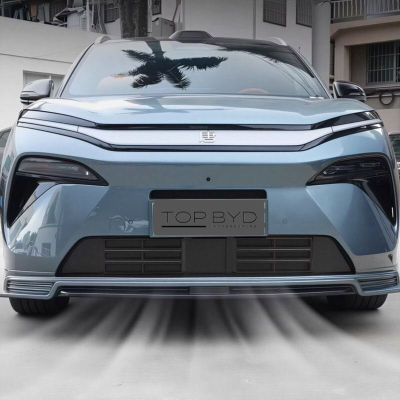 Filet anti-grille pour BYD Atto 8/Sealion 8