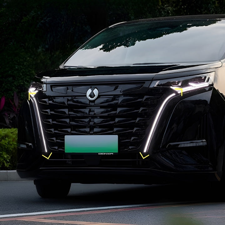 Luz de rejilla de alta configuración para Denza D9