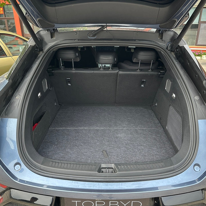 Trunk Folding Cover Plate for Sealion 7