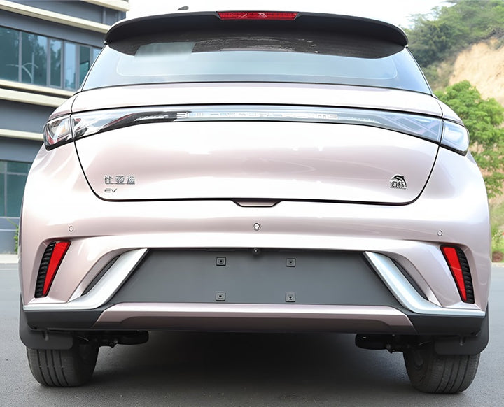 Garde-boue pour BYD Dolphins