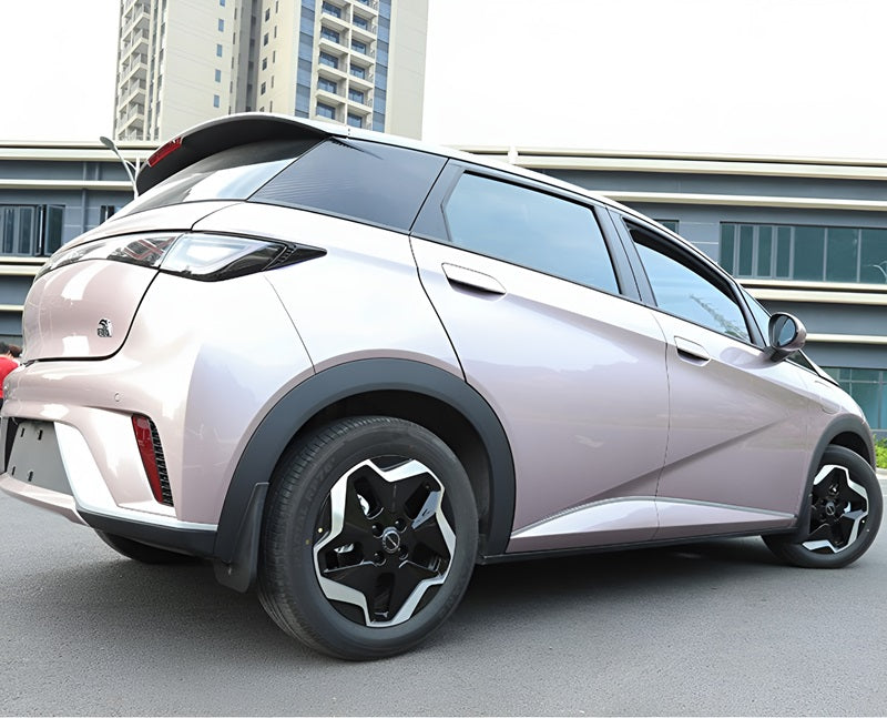 Garde-boue pour BYD Dolphins