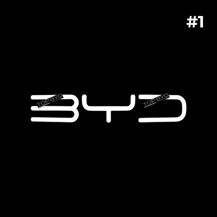 Projecteur de porte de voiture à LED (4Pcs) pour BYD