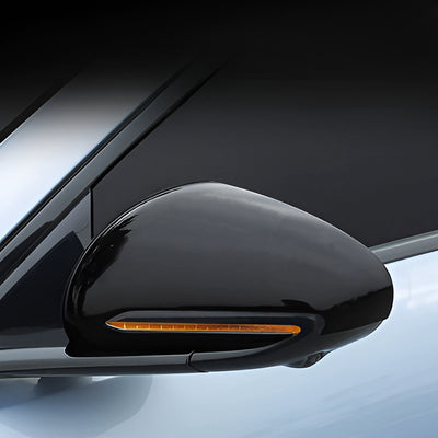 Capuchons de rétroviseur pour BYD Seal