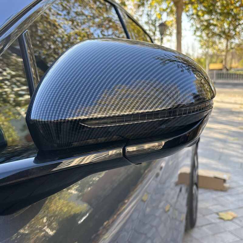 Side Mirror Cover for BYD Sealion 7(2 pcs)