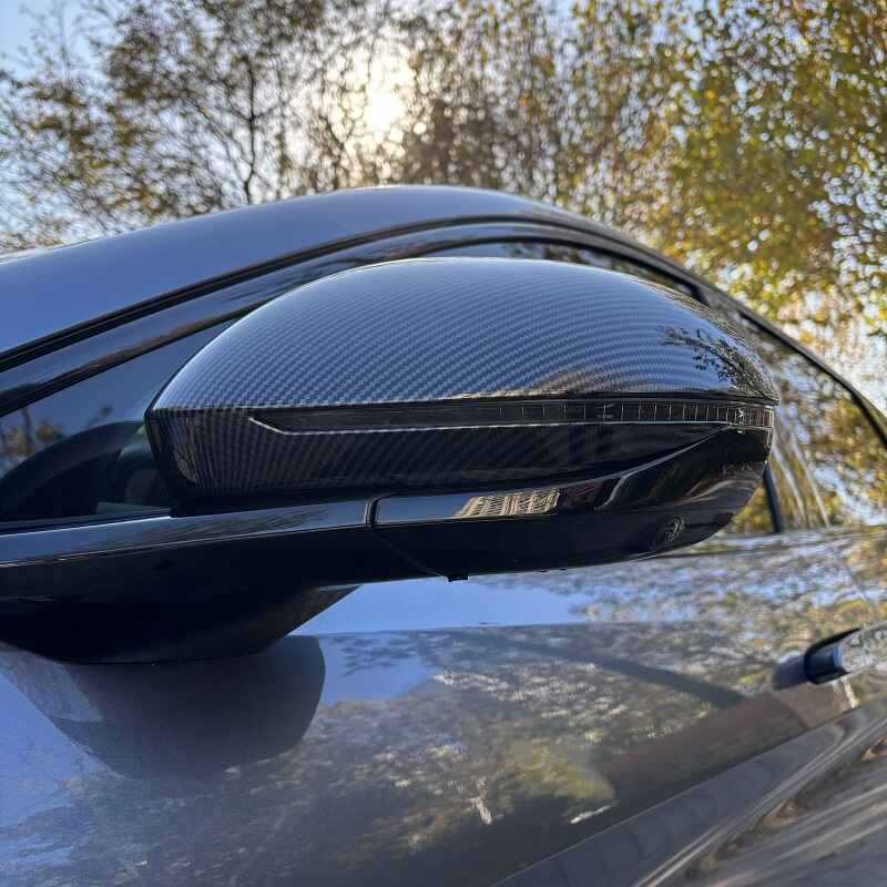 Side Mirror Cover for BYD Sealion 7(2 pcs)