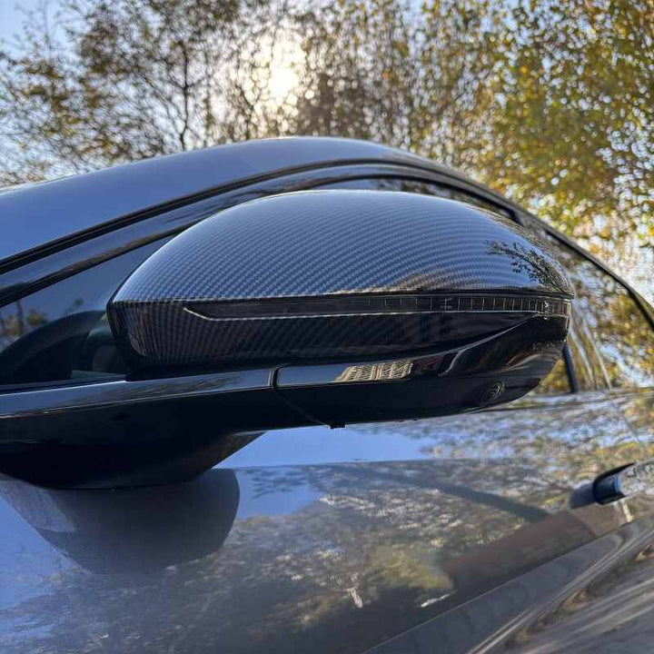 Side Mirror Cover for BYD Sealion 7(2 pcs)