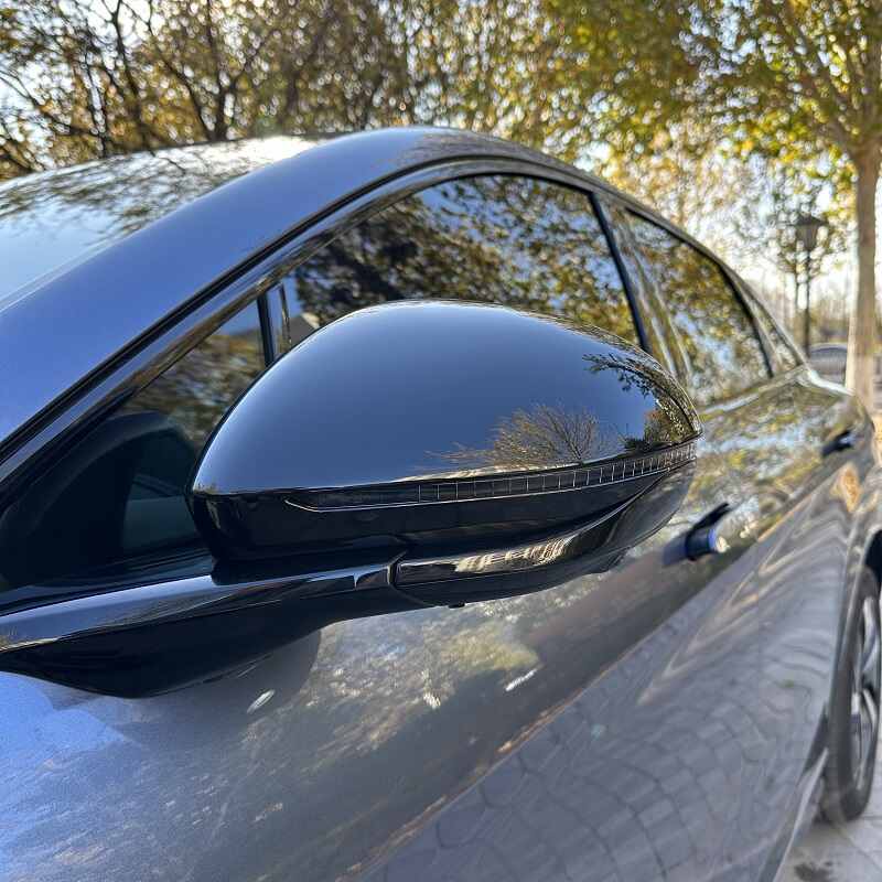 Side Mirror Cover for BYD Sealion 7(2 pcs)