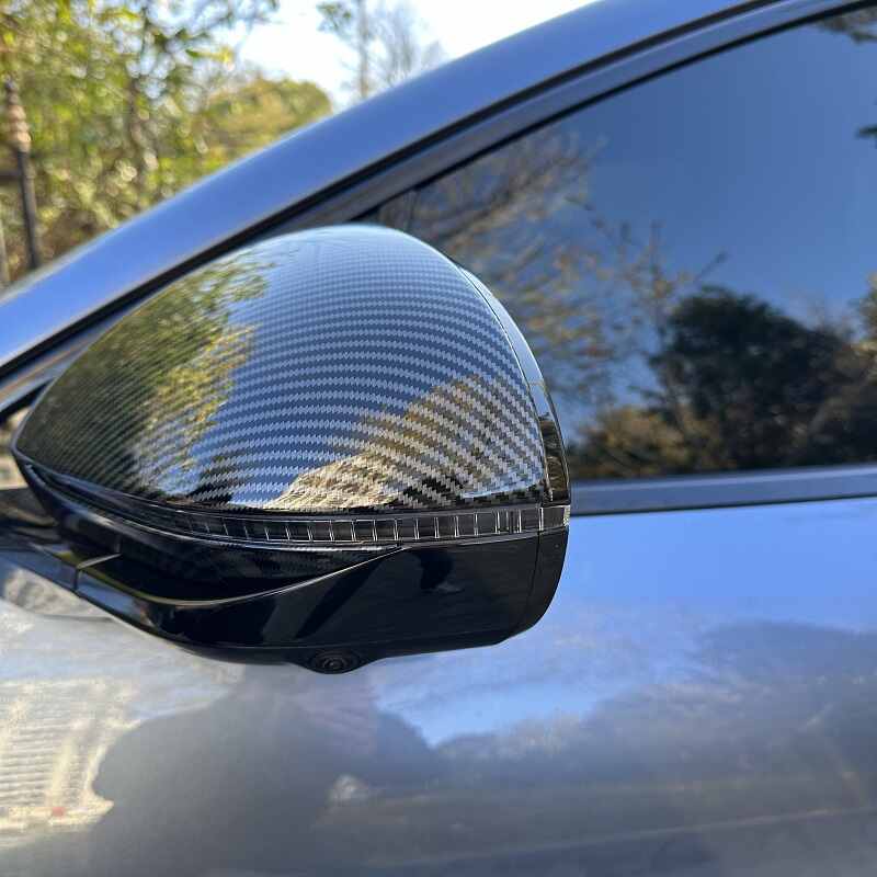 Side Mirror Cover for BYD Sealion 7(2 pcs)