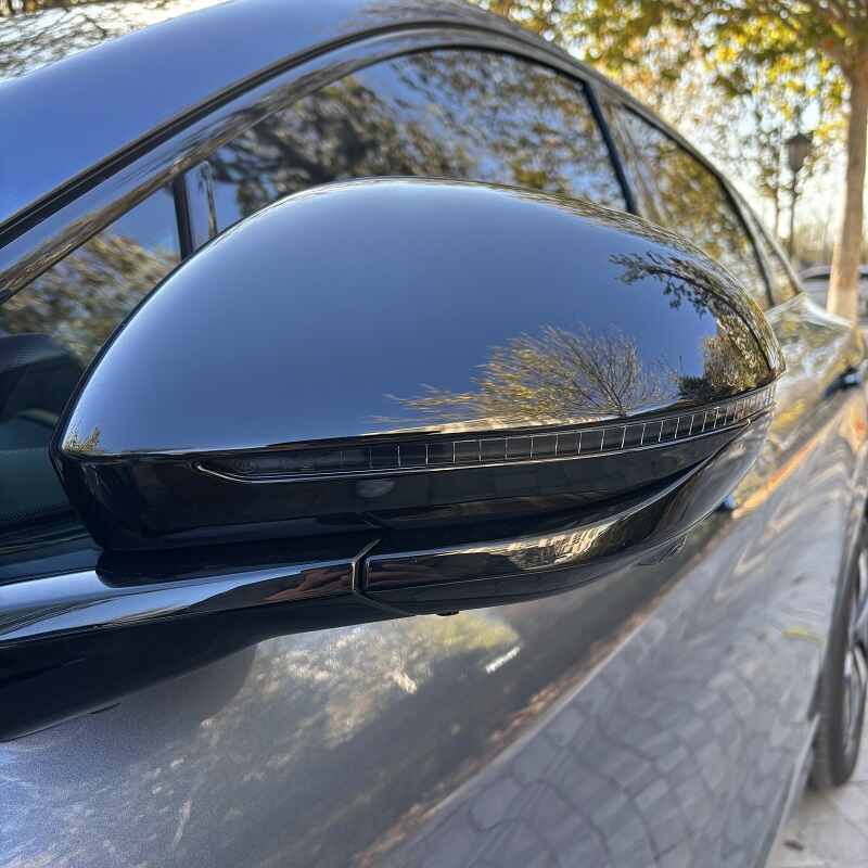 Side Mirror Cover for BYD Sealion 7(2 pcs)