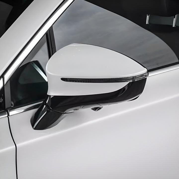 Side View Mirror for BYD Tang