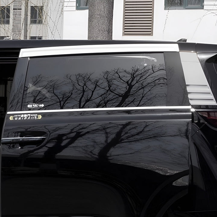 Window Visor for DENZA