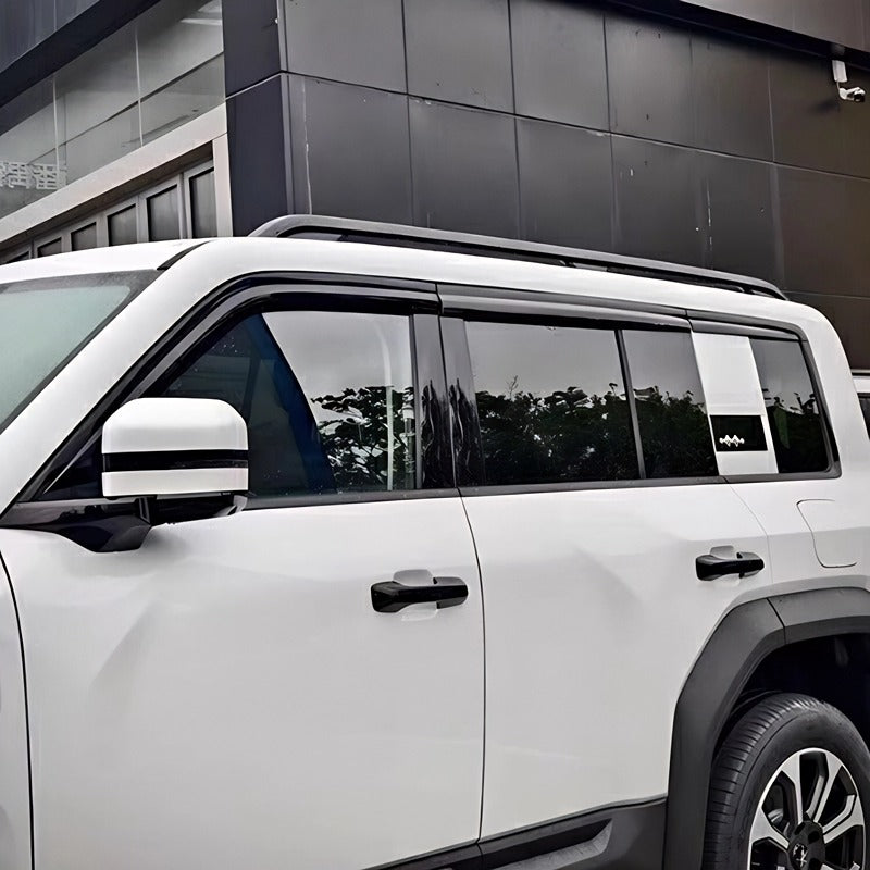 Black Rain Guard / Window Visor for Denza B5/B8 (6 Pcs)