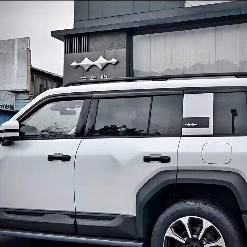 Black Rain Guard / Window Visor for Denza B5/B8 (6 Pcs)