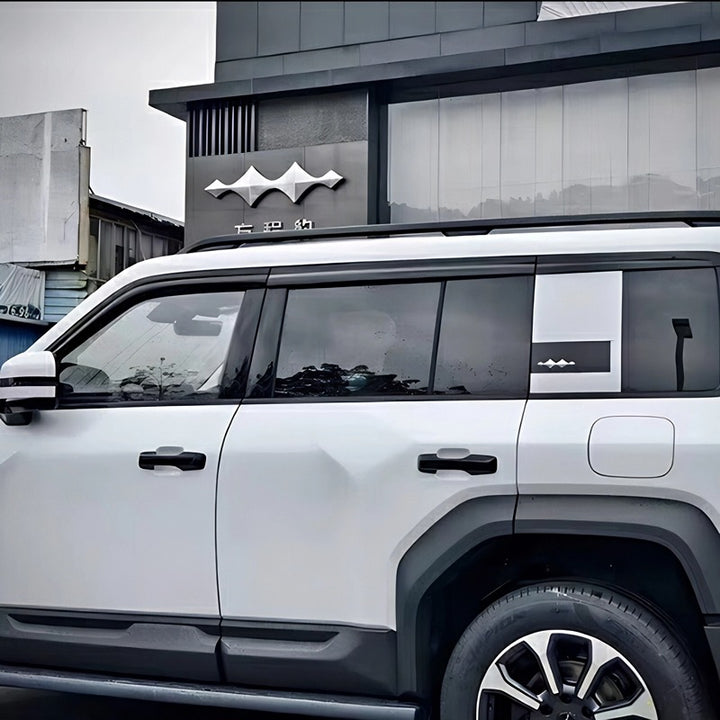 Black Rain Guard / Window Visor for Denza B5/B8 (6 Pcs)