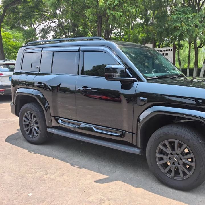 Black Rain Guard / Window Visor for Denza B5/B8 (6 Pcs)