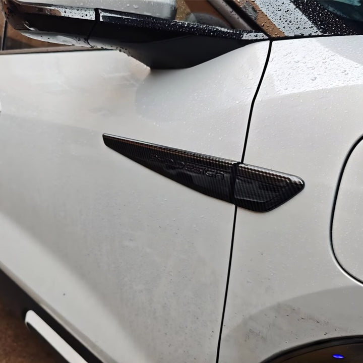 Wing Cover for BYD Atto 2 (2Pcs)
