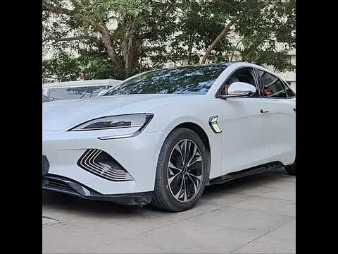 Wing Turn Signal for BYD Seal